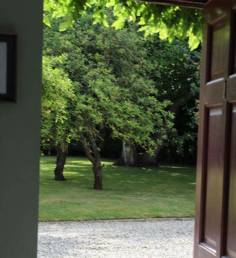 Hope Orchard Bed & Breakfast เชลเทนแฮม ภายนอก รูปภาพ