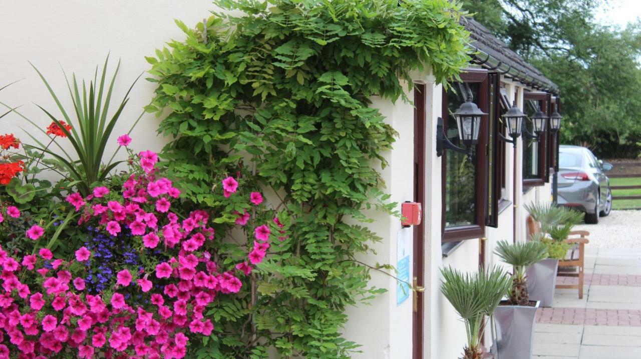 Hope Orchard Bed & Breakfast เชลเทนแฮม ภายนอก รูปภาพ